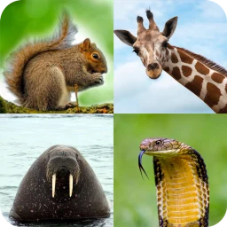 Animal Quiz: Guess the Animal 图标
